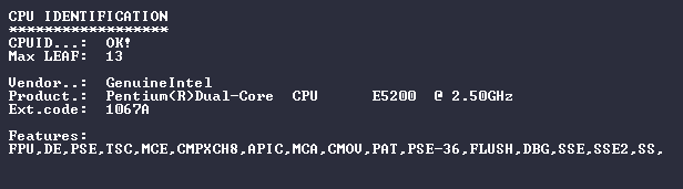 cpuidDos.png