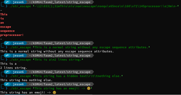 escape_preprocessor_output.png